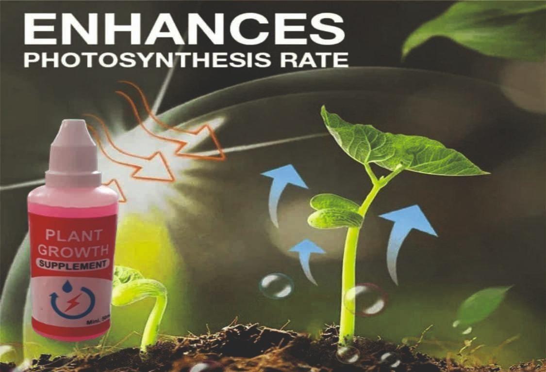 Quality Plant Growth Enhancer Supplement