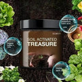 Soil Activated Treasure High-Quality Soil Activator 200gram (Pack of 2)