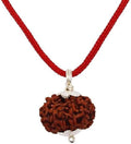 7 Mukhi Rudraksha Silver Capped Locket