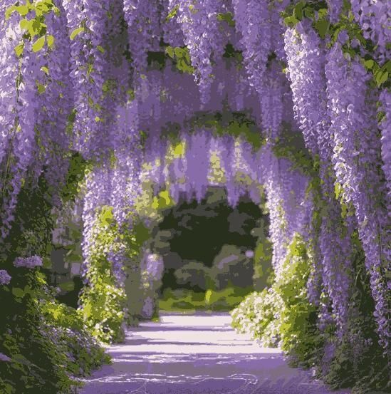 Quality The Gardens' Cascading Beauty All Year Round