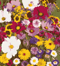 Buy Varieties of Flower Planting Seeds (Pack of 100) And Get Plant Growth Supplement Free