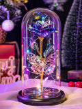High-Quality Eternal Galaxy Enchanted Rose Lamp