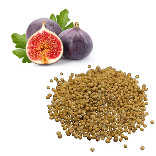 (BUY 1 PACK GET 1 FREE) VitaFig® - High-Quality Fig Tree Seeds