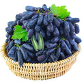 (100g) 🍇 SapphireVine® – High-Quality High-Yield Blue Grape Seeds (with Free Organic Pot Mix)